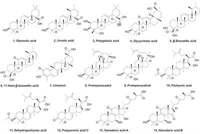 Structure-Activity Relationships of Pentacyclic Triterpenoids as Potent and Selective Inhibitors against Human Carboxylesterase 1